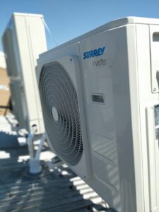 WhatsApp Image 2020-10-08 at 4.11.28 PM (1)